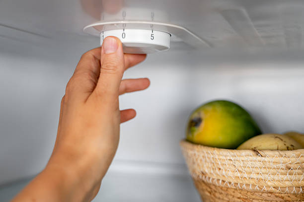 fridge thermostat